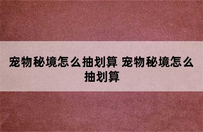 宠物秘境怎么抽划算 宠物秘境怎么抽划算